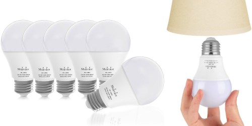 Amazon: Pack of 6 LED Globe Light Bulbs Only $14.99 (Regularly $39.99) – Just $2.50 Per Bulb