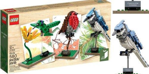 LEGO Birds Model Kit Only $34.87 (Reg. $44.99)