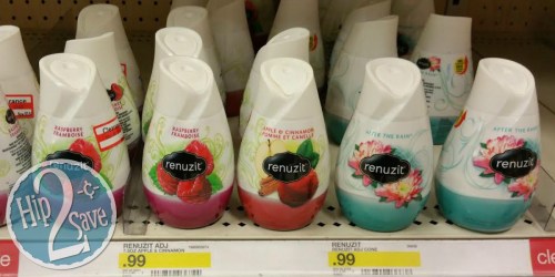 Target: Renuzit Air Freshener Cones Only 31¢ (Today Only)