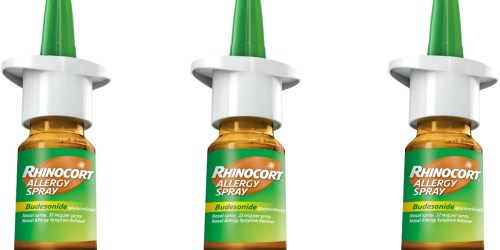 FREE Rhinocort Allergy Spray (After Mail-In-Rebate) – Starting 8/14