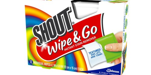 Amazon Prime: Shout Instant Stain Remover Wipes 12 Count Packages Only 65¢ Each