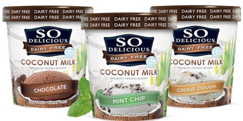 Target: So Delicious Dairy Free Frozen Desserts ONLY 39¢ (Regularly $4.79)