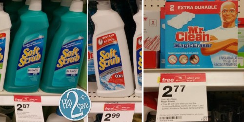 Target: Save BIG on Cleaning Products (Shout, Windex, Soft Scrub, Mr. Clean & More)