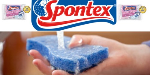 Possible Spontex Sponges Product Testing Opportunity (Sign Up Now)
