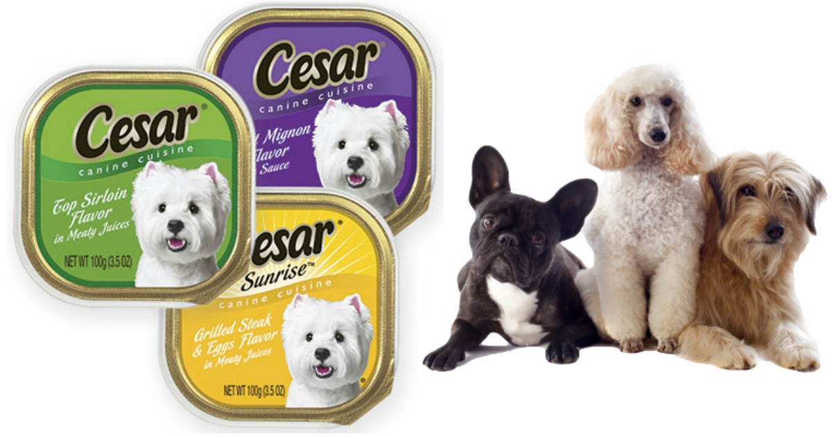 New Cesar Canine Cuisine Trays Coupon = Only 50¢ at Walgreens