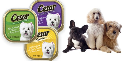 New Cesar Canine Cuisine Trays Coupon = Only 50¢ at Walgreens