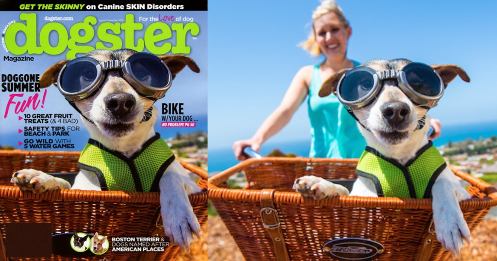 Dogster or Catster Magazine Subscription 9.99/Year