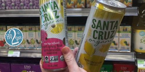 Whole Foods: Santa Cruz Organic Tea & Lemonade Drink Only 49¢ (Regularly $1.99)