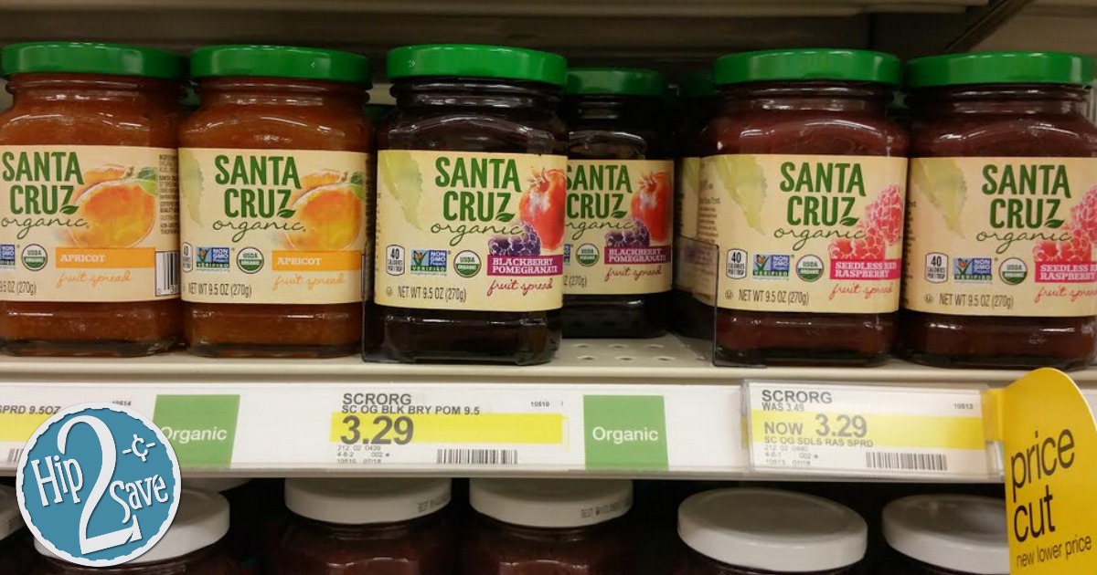 Target Santa Cruz Organic Fruit Spread Only 1.30