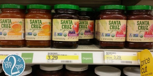 Target: Santa Cruz Organic Fruit Spread Only $1.30