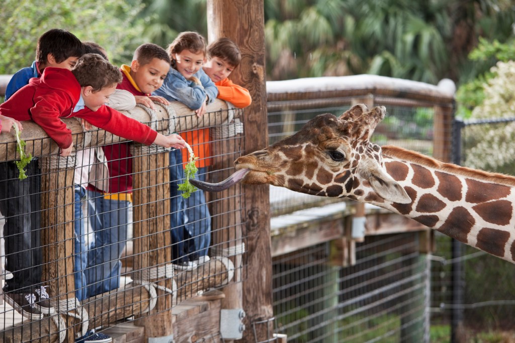 Kids at Zoo
