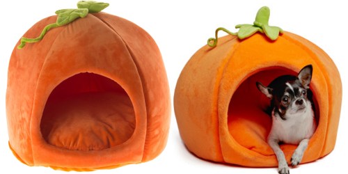 PetSmart: Martha Stewart Halloween Pumpkin Pet Bed Only $25.19 (Regularly $39.99)