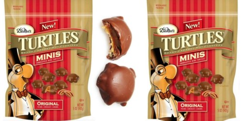 CVS: Turtles Minis 5-Ounce Pouch Only 79¢ (After ExtraBucks)