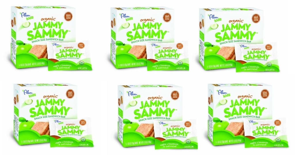 Plum Kids Organic Jammy Sammy, Apple Cinnamon and Oatmeal,