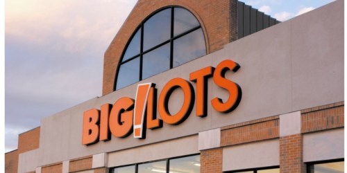 Big Lots: $10 Off $50 Purchase Coupon Valid Online & In-Store (Does Not Exclude Clearance)