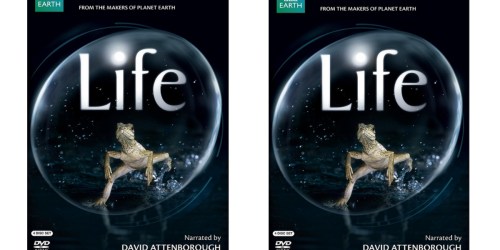 Best Buy: Life 4-Disc Blu-Ray Set Just $14.99 (Regularly $59.99)