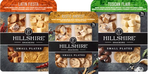 Target: Hillshire Snacking Small Plates Just 81¢