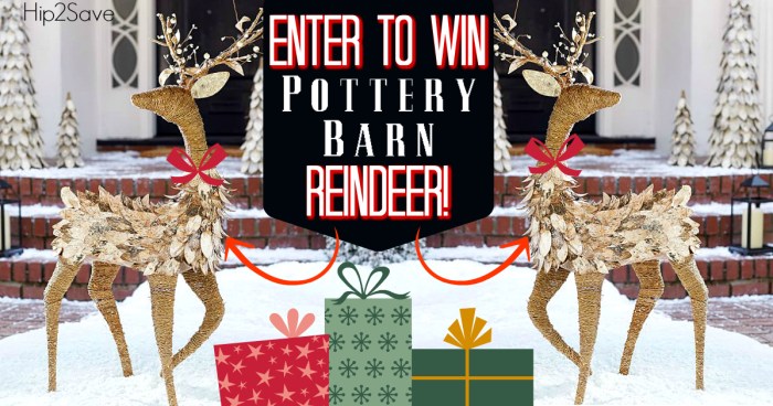 Pottery Barn Hip2Save Giveaway