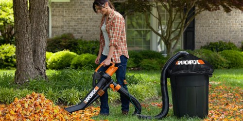 Sears: Worx Universal Leaf Collection System Only $19.99 (Regularly $49.99)
