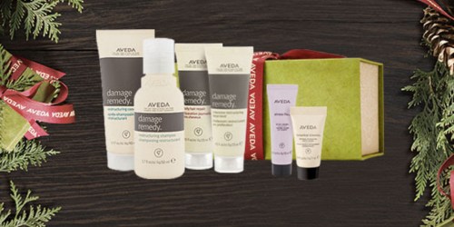 Aveda Damage Ready 6-Piece Trial Set + Full Size Hand Creme & More Only $26.50 Shipped