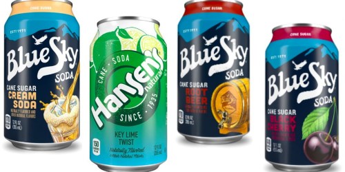 Amazon: Blue Sky and Hansen’s Soda 24-Packs Only $9.74 Each Shipped