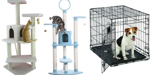 Amazon: BIG Savings on Armarkat Cat Trees & MidWest Dog Crate