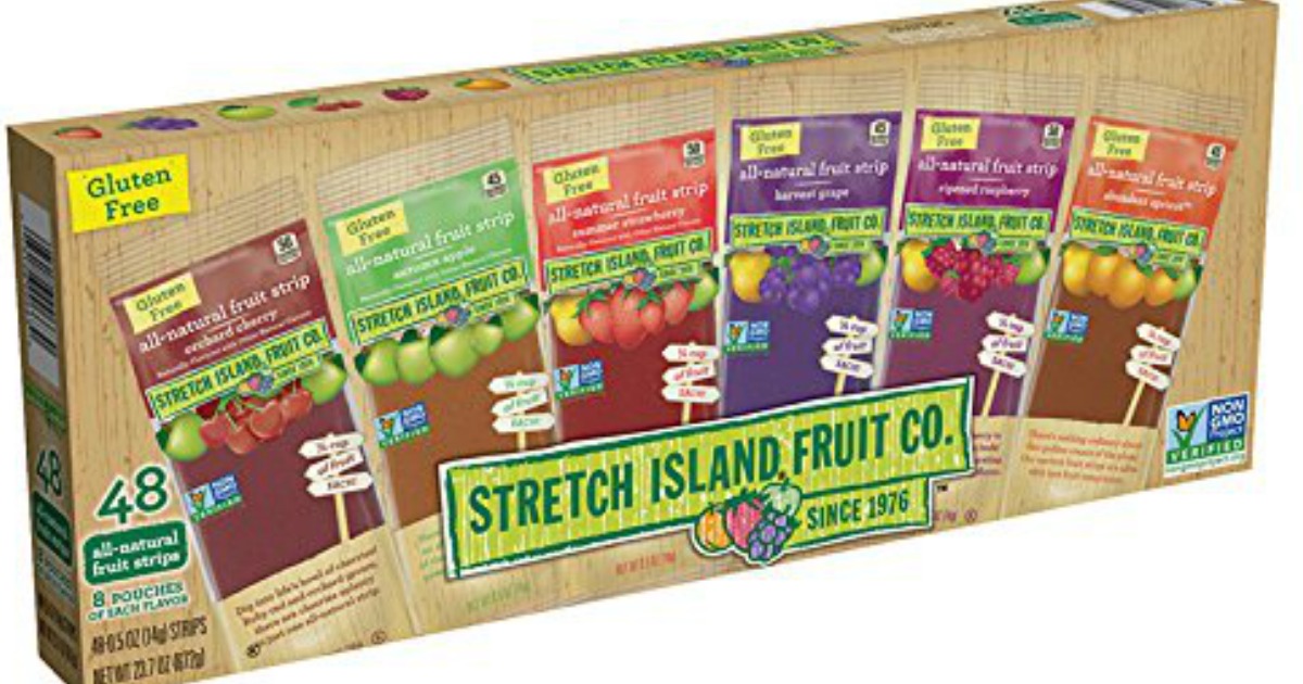 Amazon Stretch Island Fruit Leather Variety Pack 48Count Only 10.76