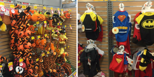 PetSmart: Up To 75% Off Halloween Clearance + Friends & Family Coupon = Items ONLY 82¢ Shipped