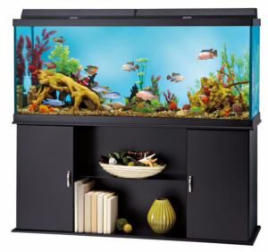 Pet Smart Black Friday