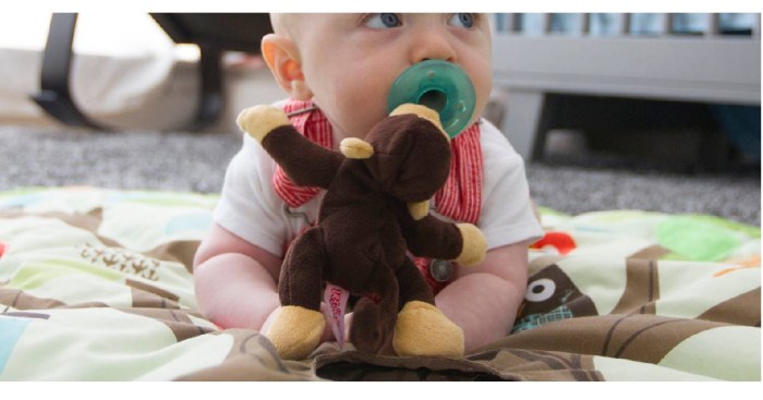 Target.com: WubbaNub Pacifier AND $5 Target Gift Card $10.07 Shipped ...