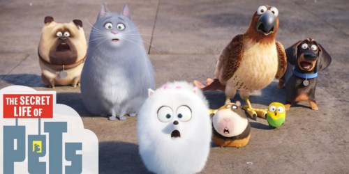 Target.com: Pre-Order The Secret Life Of Pets Combo for $11.99 Shipped (After Gift Card)
