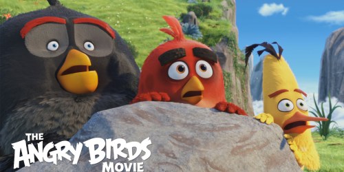 The Angry Birds Movie DVD ONLY $8 Shipped (Regularly $16.99)
