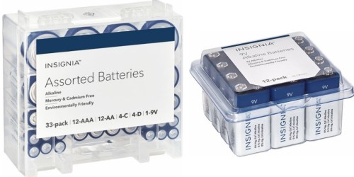 Best Buy: Insignia Assorted Batteries 33-Pack Only $9.99 (Regularly $16.99) – Comes with Storage Box