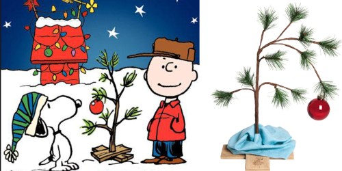 Sears: Charlie Brown’s 24″ Christmas Tree w/Blanket & Ornament Only $9.44 (Regularly $14.99)
