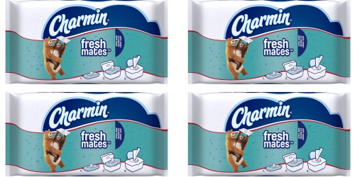 Amazon Prime: Charmin Freshmates Wet Wipes 12 Pack Only $17.07 Shipped (Just $1.42 Per Pack)