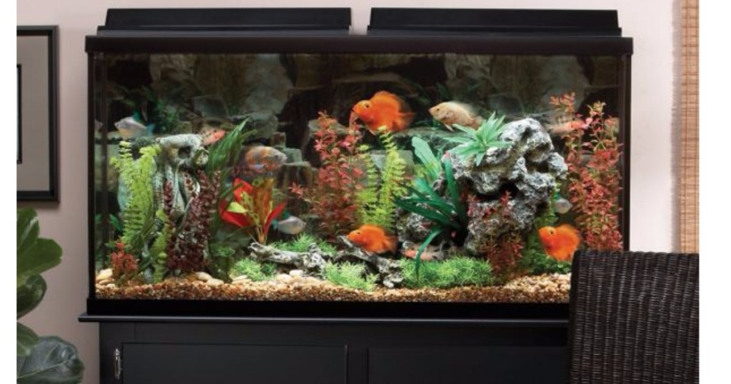 PetSmart: Marineland 60 Gallon Aquarium w/ Stand Only $179.99