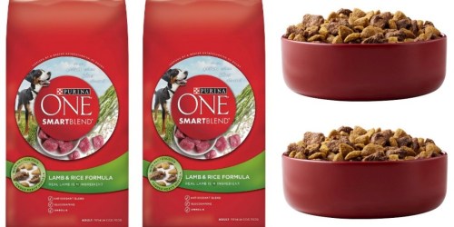 Target.com: Purina Dog Food As Low As $5.06 Per Bag Shipped (After Gift Card)