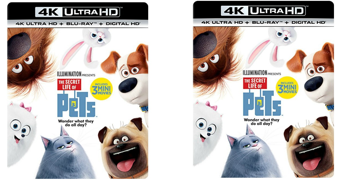 The Secret Life of Pets 4K Ultra HD + Blu-ray + Digital HD Only $25.96 ...