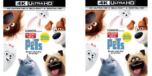 The Secret Life of Pets 4K Ultra HD + Blu-ray + Digital HD Only $25.96 (Regularly $44.98)