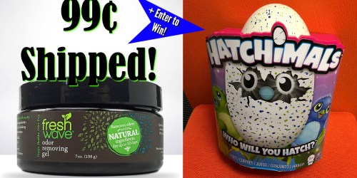 Fresh Wave Odor Removing Gel & 2 Samples ONLY 99¢ Shipped (+ Enter to Win Hatchimals!)
