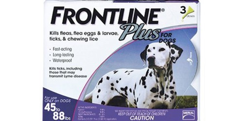 Amazon: Frontline Plus Flea & Tick Control For Dogs Only $25.49 (Regularly $35.49) – 3-Dose Supply