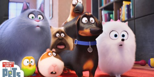 The Secret Life Of Pets or The BFG Digital Movie Downloads Only $9.99 Each & More Movie Deals