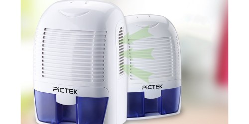 Amazon: Pictek Portable Dehumidifier Only $61.59 Shipped (Regularly $109.99) & More