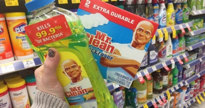 Mr. Clean Products 