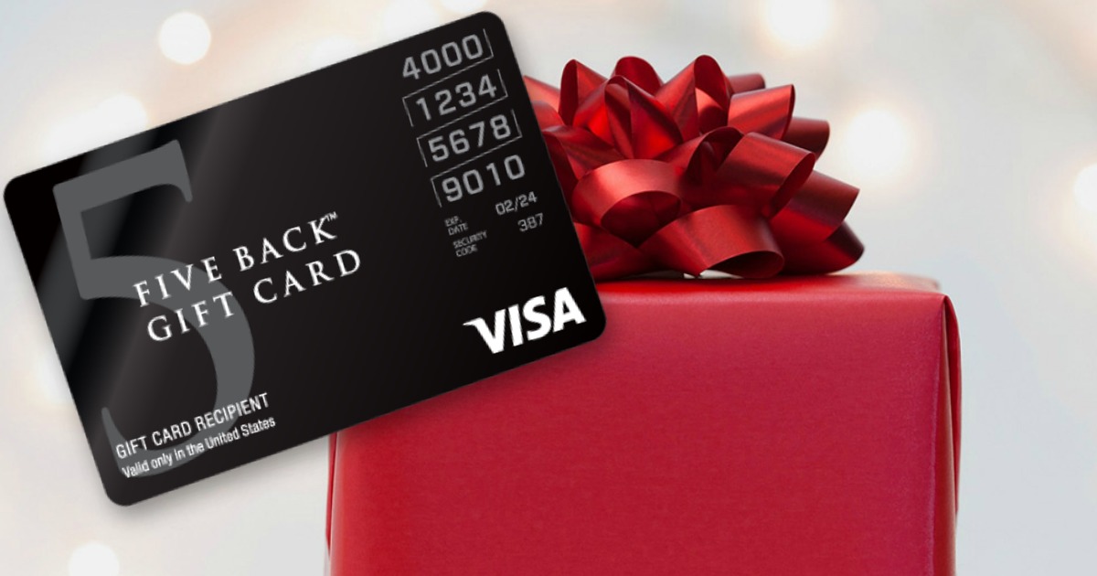 500 Visa eGift Card Only 480.95 (Includes