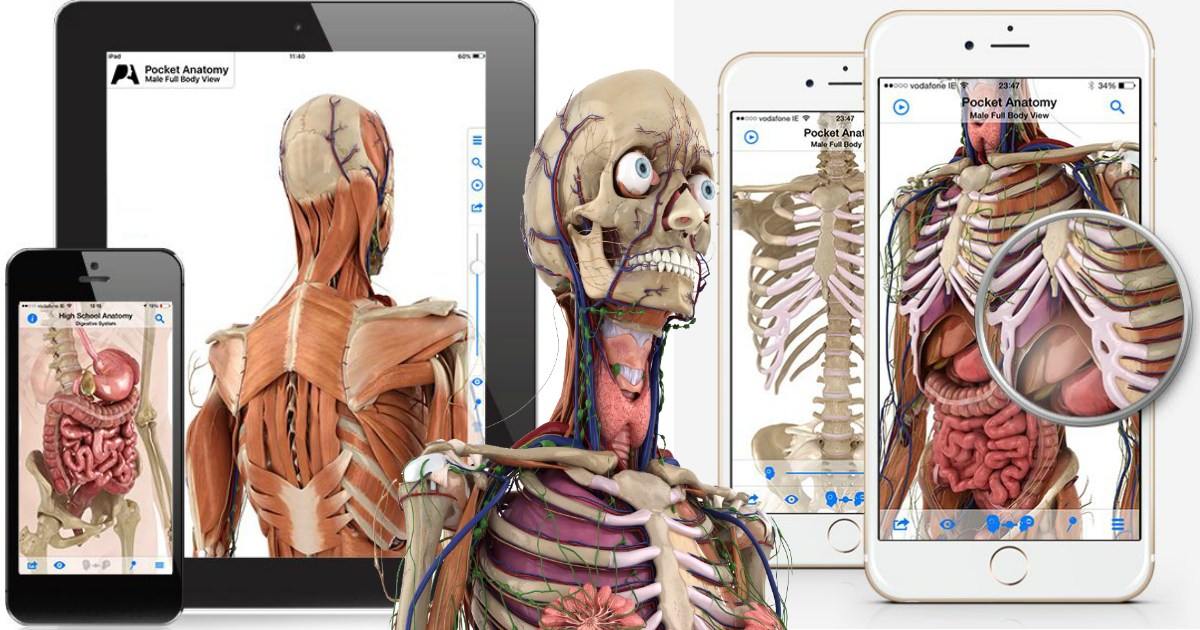 FREE Pocket Anatomy iTunes App (Regularly 14.99)
