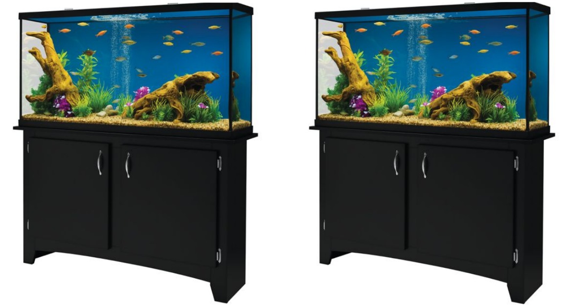 petsmart aquarium and stand