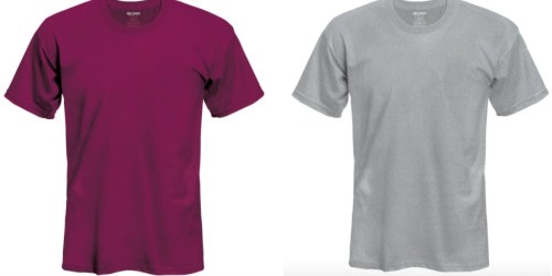 Michaels.com: Adult and Youth T-Shirts Only $1.99 Shipped (Today ONLY)