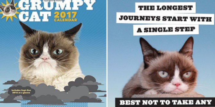 Walmart: Grumpy Cat 2017 Calendar Only $5.98 Shipped (Reg. $19.98) – Awesome Reviews