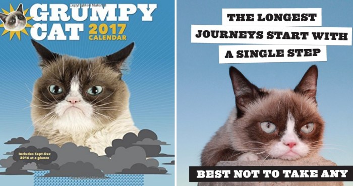 Walmart: Grumpy Cat 2017 Calendar Only $5 98 Shipped (Reg $19 98